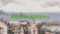 海贼王十大伤势是什么