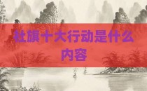 社旗十大行动是什么内容
