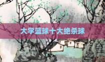 大学篮球十大绝杀球