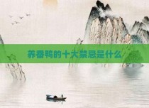 养番鸭的十大禁忌是什么