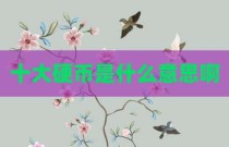 十大硬币是什么意思啊