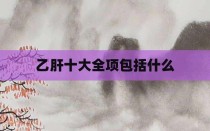 乙肝十大全项包括什么