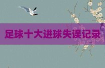 足球十大进球失误记录