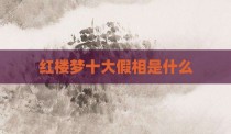 红楼梦十大假相是什么