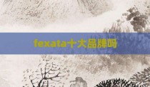 fexata十大品牌吗