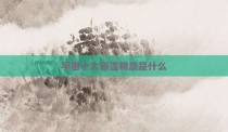 宇宙十大高温物质是什么