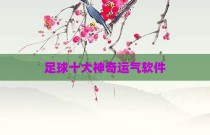 足球十大神奇运气软件