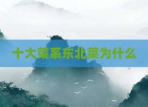 十大菜系东北菜为什么