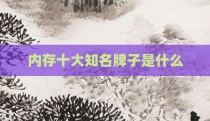内存十大知名牌子是什么