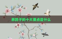 养鸽子的十大要点是什么