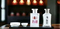中国现代十大民族品牌是