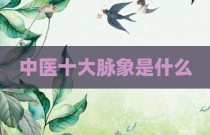 中医十大脉象是什么