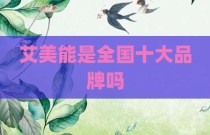艾美能是全国十大品牌吗