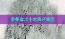贵州本土十大房产集团