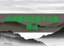 优点集成灶是十大品牌吗