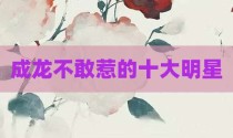 成龙不敢惹的十大明星