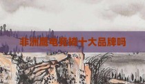 非洲鹰电竞椅十大品牌吗