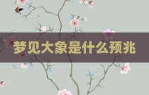 梦见大象是什么预兆
