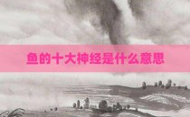 鱼的十大神经是什么意思