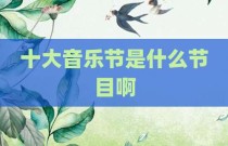 十大音乐节是什么节目啊