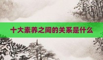 十大素养之间的关系是什么