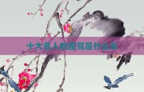 十大名人的座驾是什么车