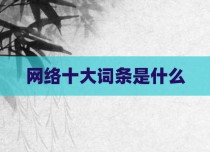 网络十大词条是什么