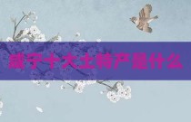 咸宁十大土特产是什么