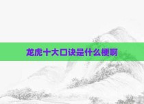 龙虎十大口诀是什么梗啊