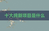 十大纯新项目是什么