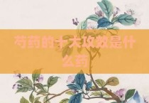 芍药的十大攻效是什么药