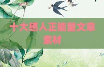 十大感人正能量文章素材