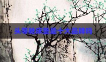 头等舱床垫是十大品牌吗