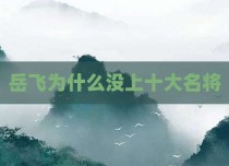岳飞为什么没上十大名将