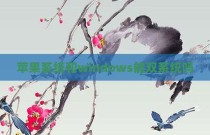 苹果系统和windows能双系统吗