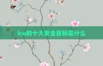 icu的十大安全目标是什么