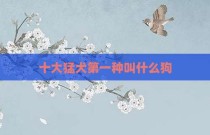 十大猛犬第一种叫什么狗