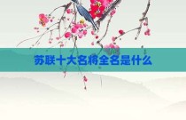 苏联十大名将全名是什么