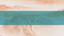 微pe安装windows10系统安装
