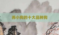 养小狗的十大品种狗