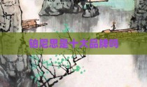 铂尼思是十大品牌吗
