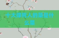 十大撑死人的菜是什么菜