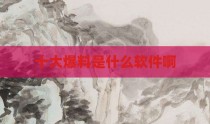 十大爆料是什么软件啊