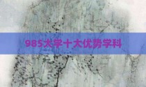 985大学十大优势学科