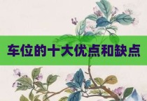 车位的十大优点和缺点