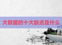 大数据的十大缺点是什么