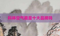 科林空气能是十大品牌吗