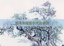 泡沫洗鞋是十大品牌吗