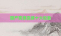 国产民族品牌十大轮胎