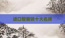 进口智能锁十大名牌